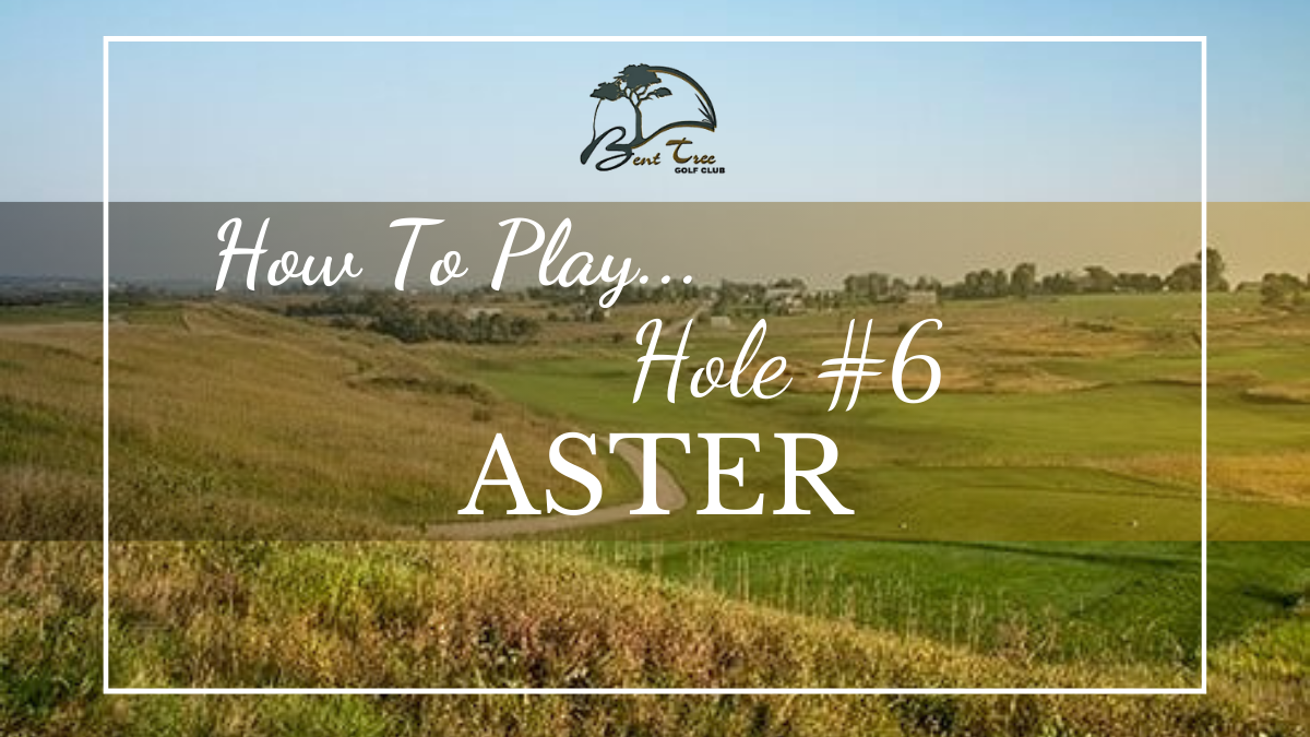 How To Play - Hole #6